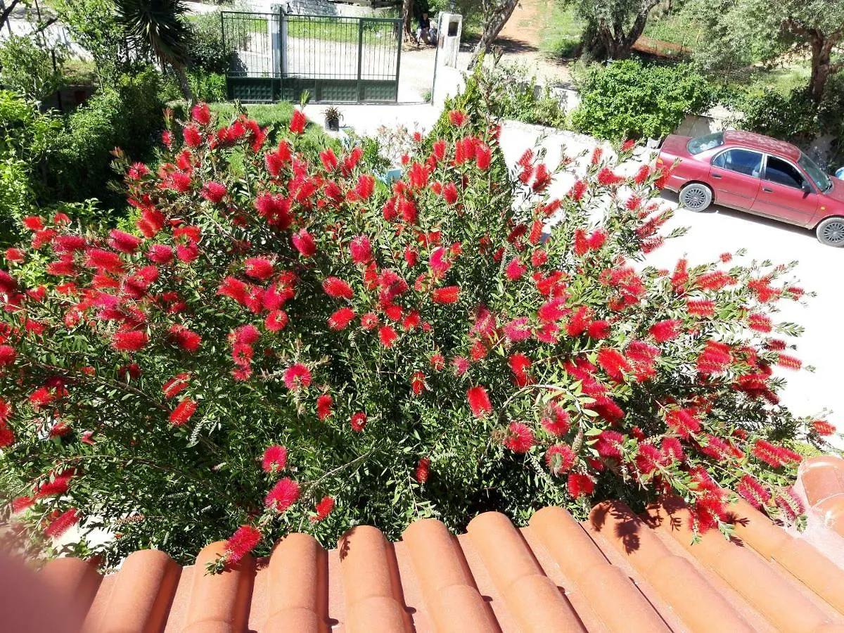 Vila Zogaj Ksamil Apartment